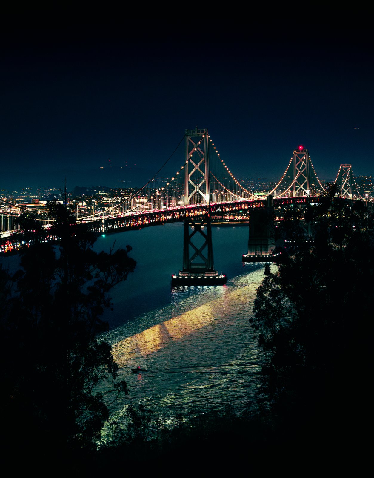 Bay Bridge at night framed by trees with light reflecting on the water
