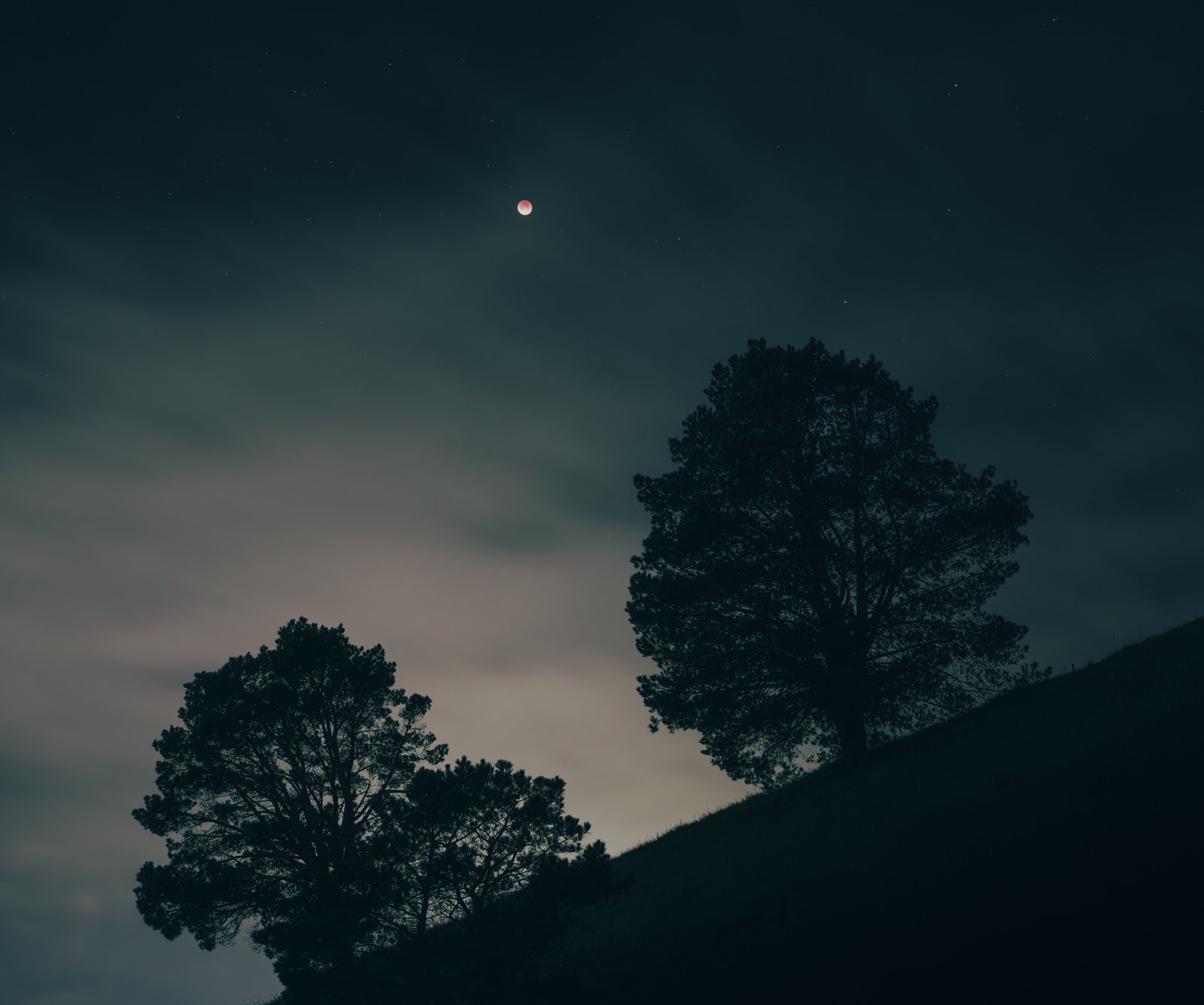 A lunar eclipse glowing red above silhouetted trees on a hillside
