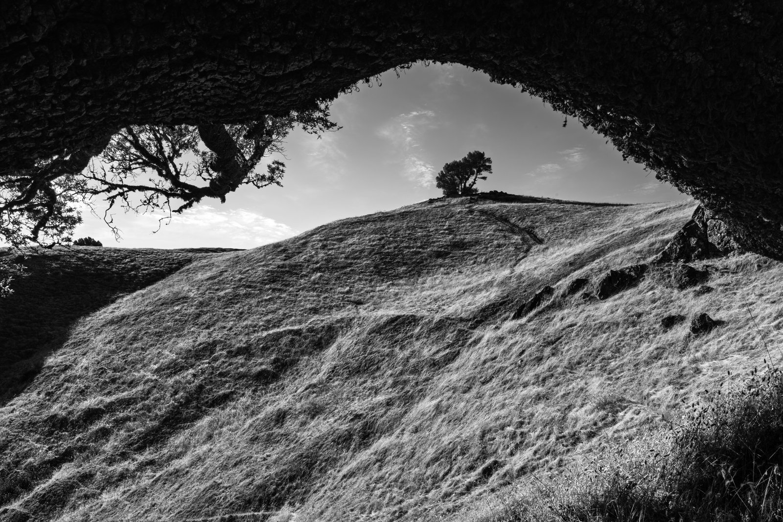 Black and white East Bay hills