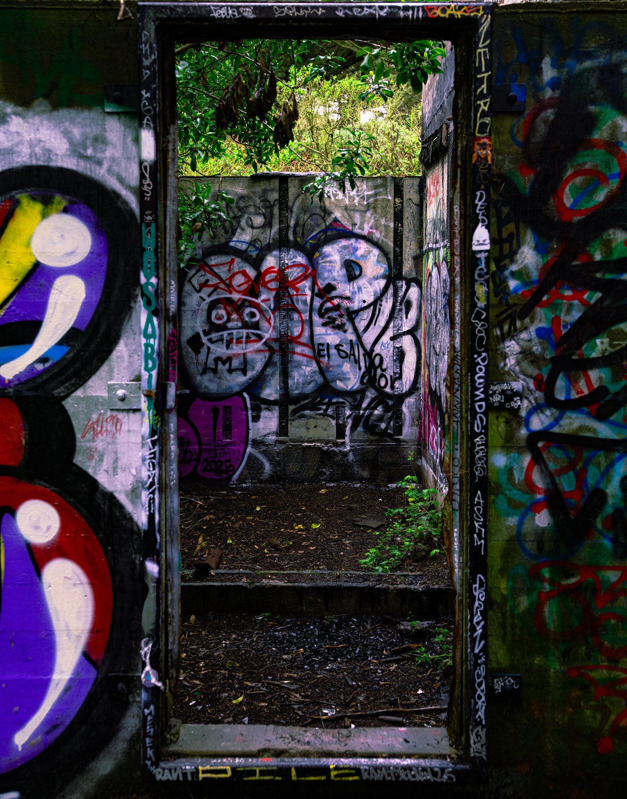 A graffiti-covered doorway leading into an abandoned battery interior