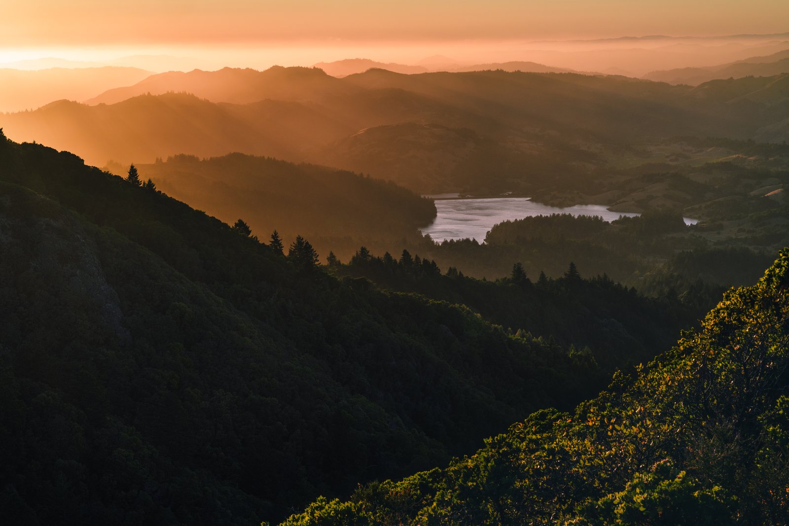 Mount Tamalpais golden hour ridgeline