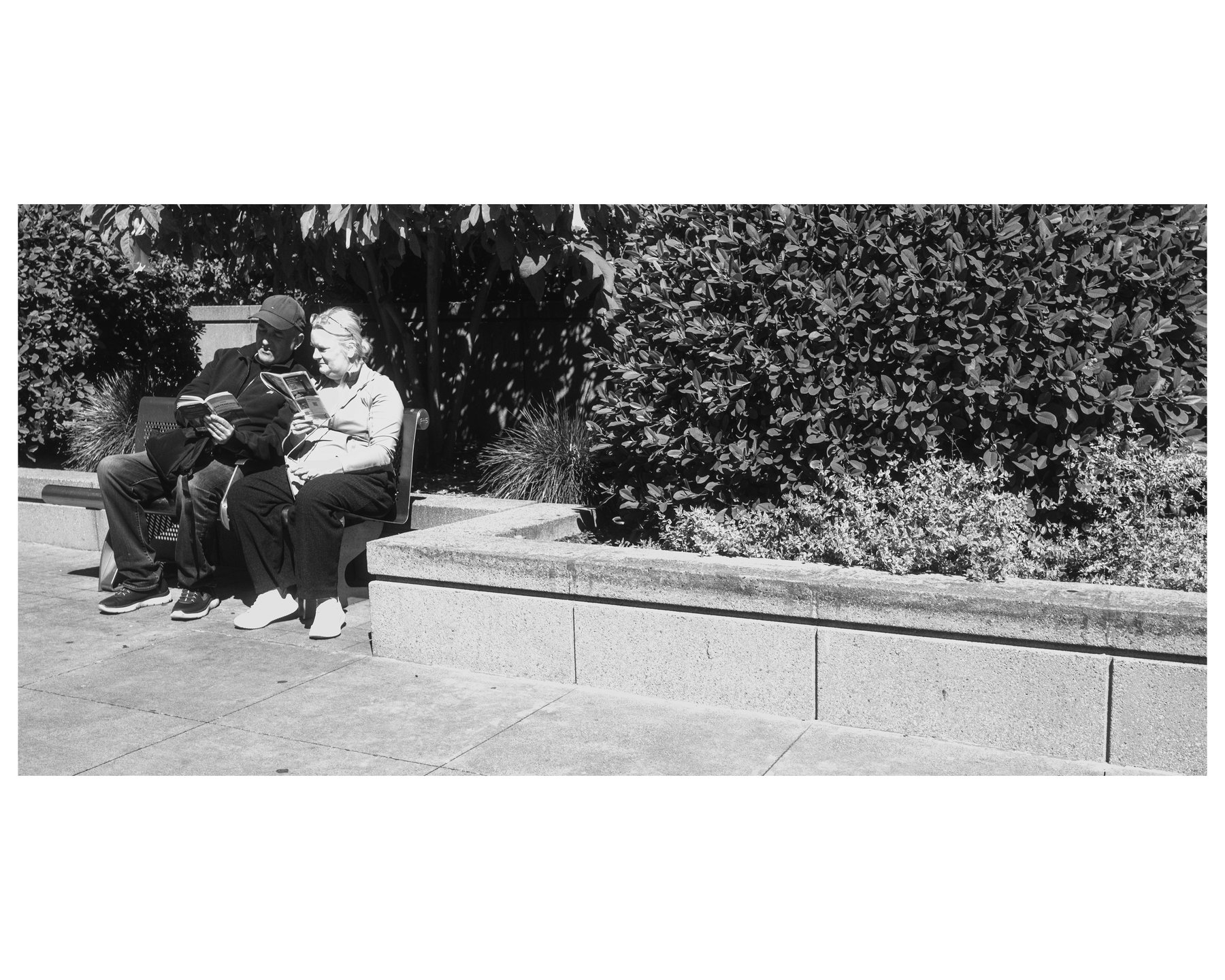 An elderly couple sitting on a bench together, each reading