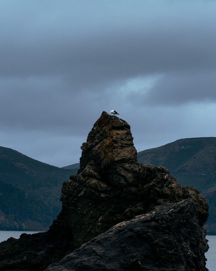 A seagull resting on a sea stack under a stormy sky